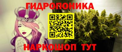 spice Дубна