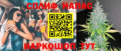 сатива Жуковский