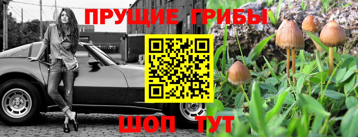 МЕФ   Магнитогорск  Купить  Кетамин  Каннабис  Вход с VPN  ГАШ  A PVP СК кристаллы  Гашиш 