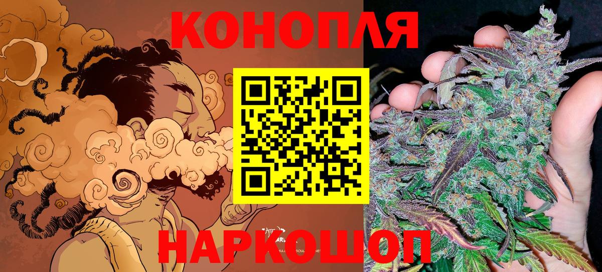 Бошки марихуана план  Канабис тримм  Вход с VPN  Марихуана сатива  Магнитогорск 